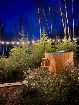 Стандартный дом с 2 спальнями, беседкой, мангалом, баней и купелью – до 6 человек — фото 1