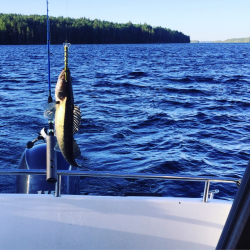 Водоем — фото 1