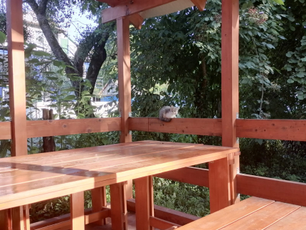 Гостевой дом Хижина — фото