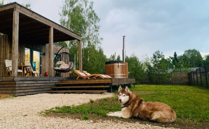 Янтарь — фото