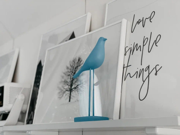 Белый дом с проектором — фото 9