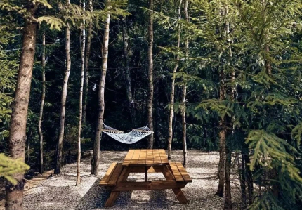 Время в Лесу — фото