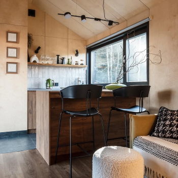 Зеленый дом с камином — фото 3