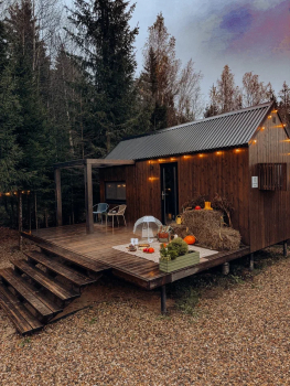 Белый дом с проектором — фото 2