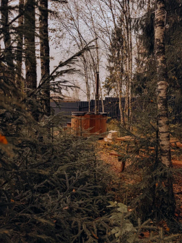 Дом Кедр  — фото 22