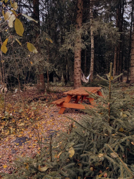 Дом Кедр  — фото 26