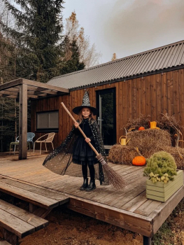 Белый дом с проектором — фото 29