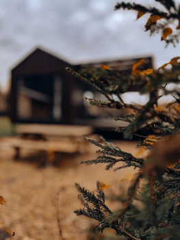 Зеленый дом с камином — фото 18