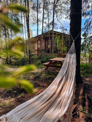 Время в Лесу — фото