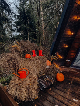 Синий а-фрейм — фото 16