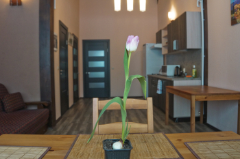 Трехкомнатный коттедж  с верандой — фото 3