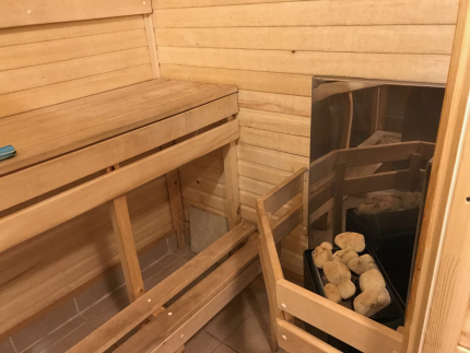 Лесной берег — фото