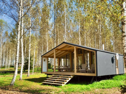 Лесной берег — фото