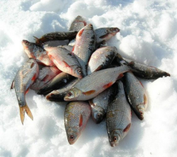 Рыбалка — фото 1