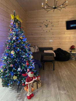 Лампи — фото 4