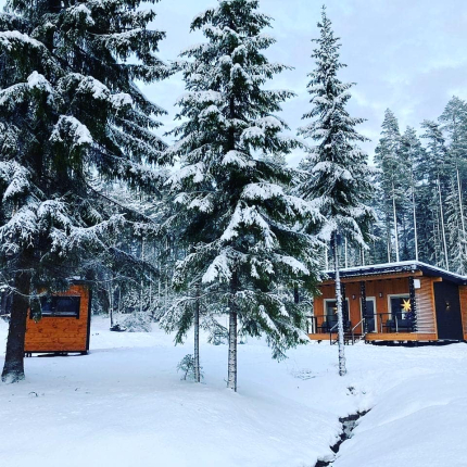 Tammiko — фото