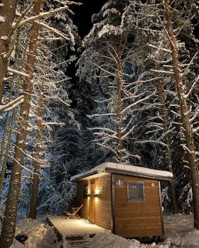 На двоих с питомцем — фото 20