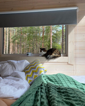 На двоих с питомцем — фото 5