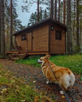 На двоих с питомцем — фото 1