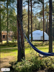 Гамаки и качели на общей территории — фото 1