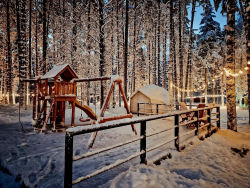 Спортивная площадка — фото 3