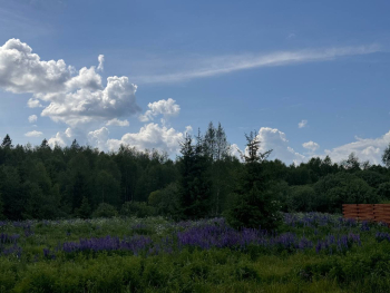 Барский дом — фото 5