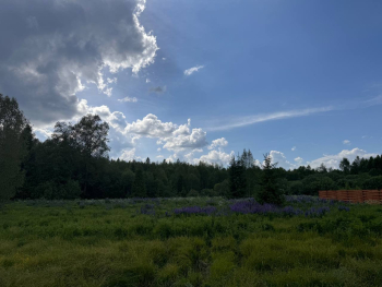 Garden 5  — фото 25