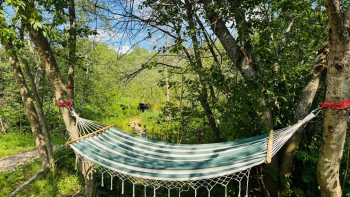 River 2 — фото 6