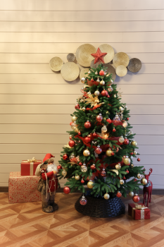 Barnhouse 1 — фото 11