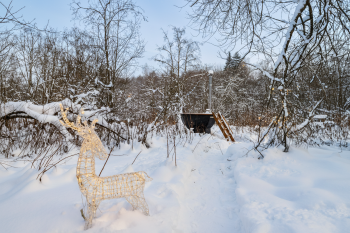 River 2 — фото 10