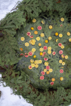 River 6 — фото 32