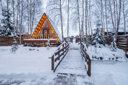 Березовая роща — фото