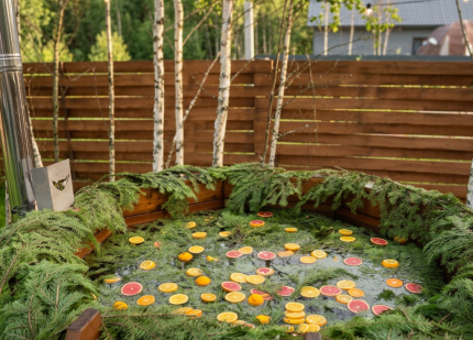 Березовая роща — фото