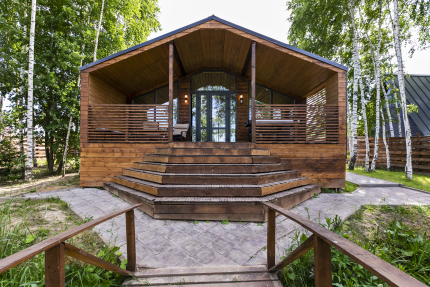 Березовая роща — фото