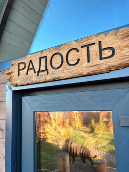Радость — фото 3