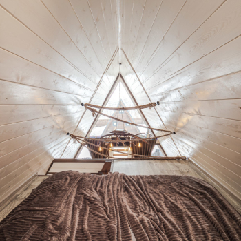 Радость — фото 5