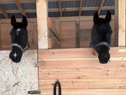 ХУТ ХАУС — фото