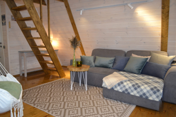 Сканди — фото 3