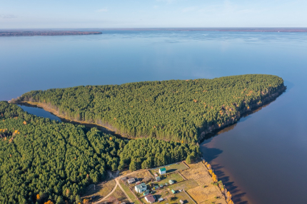 CampFalcon — фото