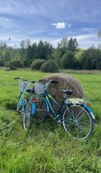 Велопрогулки — фото 1