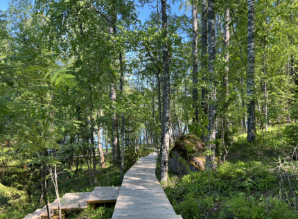 "Избушки на Опушке" — фото