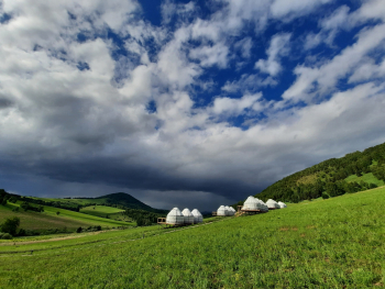 Стандарт — фото 1
