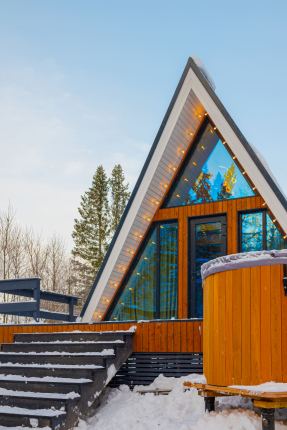 Pine Forest в г.о. Истра — фото