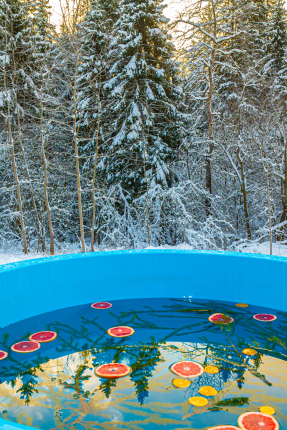 Pine Forest в г.о. Истра — фото