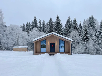 Pine Forest в г.о. Истра — фото