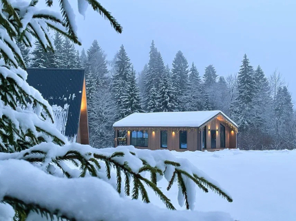 Pine Forest в г.о. Истра — фото