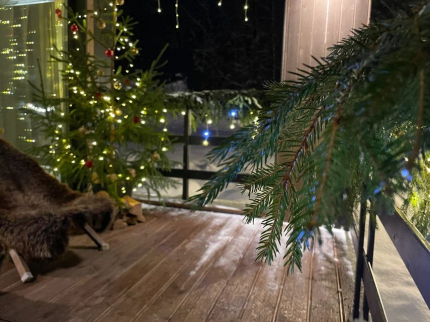 Pine Forest в г.о. Истра — фото