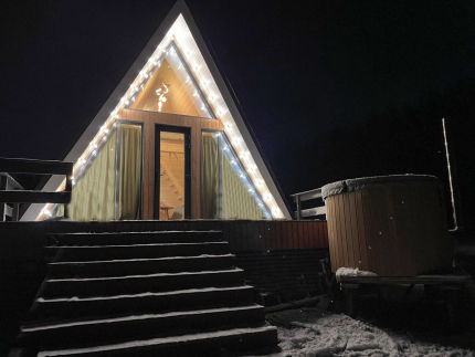 Pine Forest в г.о. Истра — фото