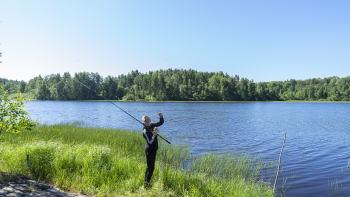 Шатер  — фото 6