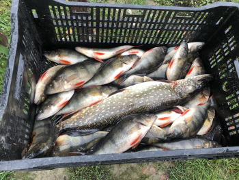 Шатер  — фото 5